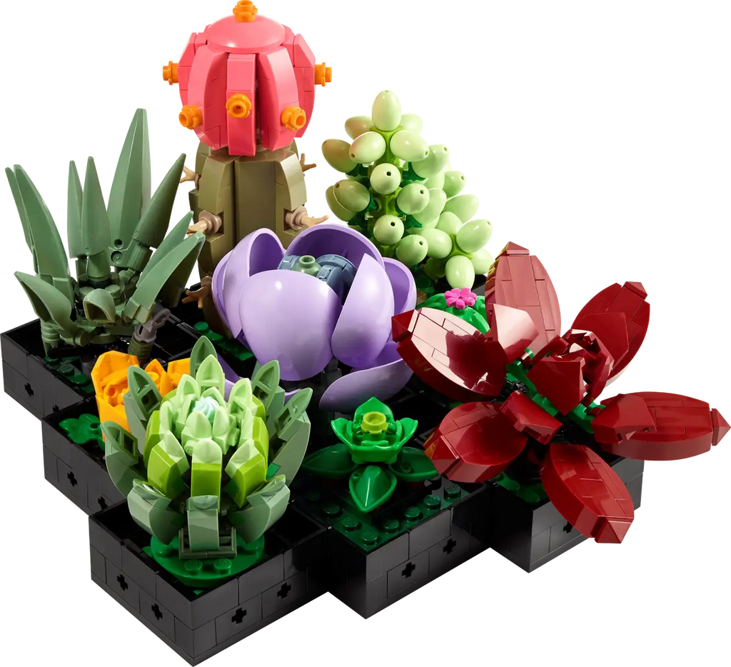 LEGO Botanicals Succulents Set (10309)