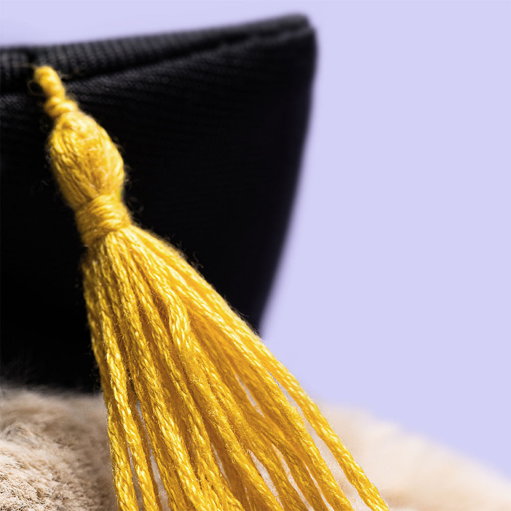 Bashful Bunny ‘Graduation’