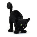 Spookipaws Cat